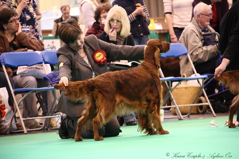 Crufts2011 883.jpg